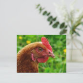 Rhode Island Red Hen Postkarte (Stehend Vorderseite)