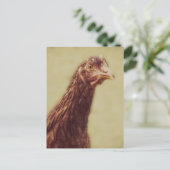 Rhode Island Red Pullet - Hühnerbild Postkarte (Stehend Vorderseite)
