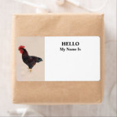 Rhode Island Red Rooster (Insitu)