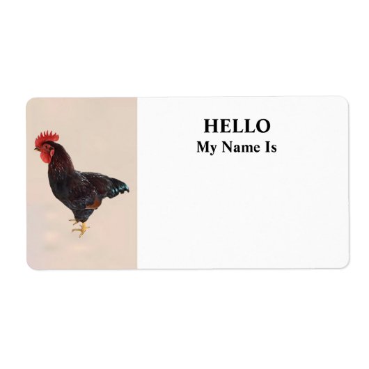 Rhode Island Red Rooster (Vorne)