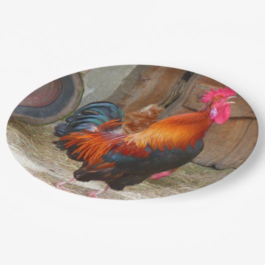Rhode Island Red Rooster Crowing in Barnyard Pappteller (Schrägansicht)