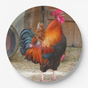 Rhode Island Red Rooster Crowing in Barnyard Pappteller