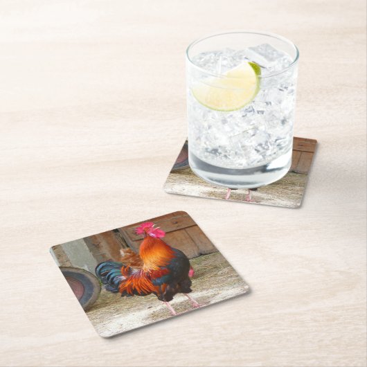 Rhode Island Red Rooster Crowing in Barnyard Rechteckiger Pappuntersetzer (Vor Ort)