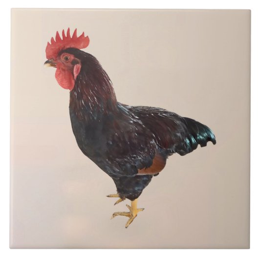 Rhode Island Red Rooster Fliese (Vorderseite)