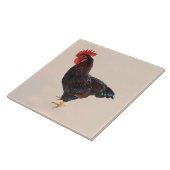 Rhode Island Red Rooster Fliese (Seite)