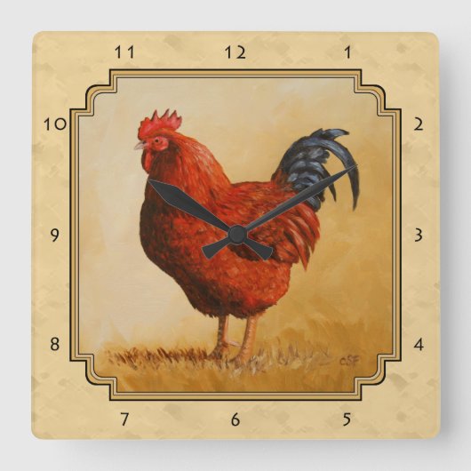 Rhode Island Red Rooster Gelber Hintergrund Quadratische Wanduhr (Vorderseite)