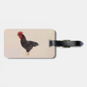 Rhode Island Red Rooster Gepäckanhänger (Rückseite horizontal)