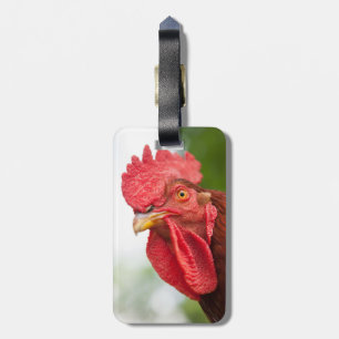 Rhode Island Red Rooster Gepäckanhänger