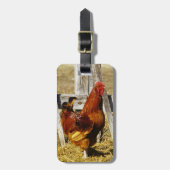 Rhode Island Red Rooster Gepäckanhänger (Vorderseite vertikal)