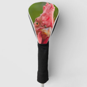 Rhode Island Red Rooster Golf Headcover