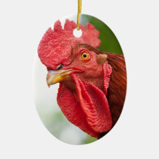 Rhode Island Red Rooster Keramikornament (Vorne)