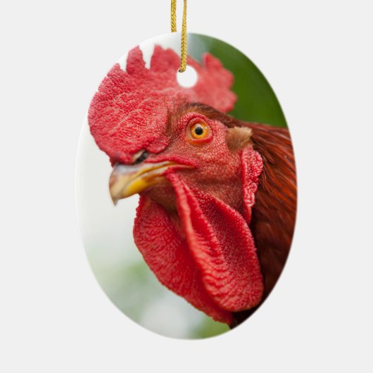 Rhode Island Red Rooster Keramikornament (Hinten)