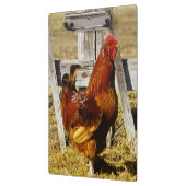 Rhode Island Red Rooster Klemmbrett (Links)
