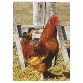 Rhode Island Red Rooster Klemmbrett (Rückseite)
