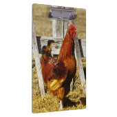 Rhode Island Red Rooster Klemmbrett (Rechts)