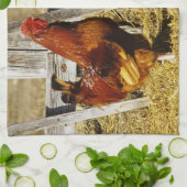 Rhode Island Red Rooster Küchentuch (Gefaltet)