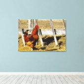 Rhode Island Red Rooster Leinwanddruck (Insitu (Holzboden))
