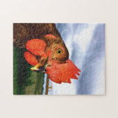 Rhode Island Red Rooster Puzzle (Horizontal)