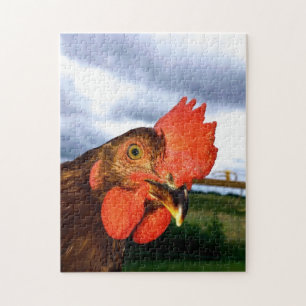 Rhode Island Red Rooster Puzzle