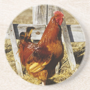 Rhode Island Red Rooster Sandstein Untersetzer