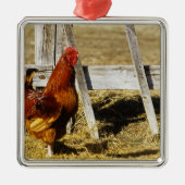 Rhode Island Red Rooster Silbernes Ornament (Vorne)