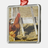 Rhode Island Red Rooster Silbernes Ornament (Links)