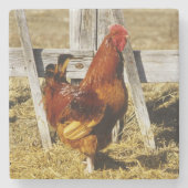 Rhode Island Red Rooster Steinuntersetzer (Vorderseite)