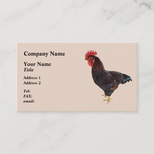 Rhode Island Red Rooster Visitenkarte (Vorderseite)