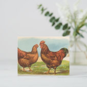 Rhode Island Reds Postkarte (Stehend Vorderseite)