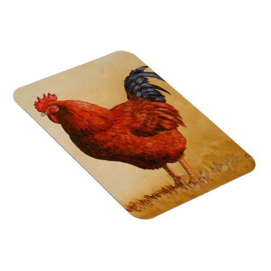 Rhode Island Rooster Chicken Magnet (Rechte Seite)