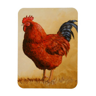 Rhode Island Rooster Chicken Magnet