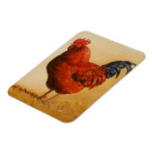 Rhode Island Rooster Chicken Magnet (Linke Seite)