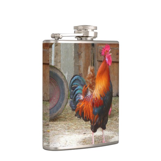 Rhode Island Rooster Crowing in Barnyard Flachmann (Rechts)