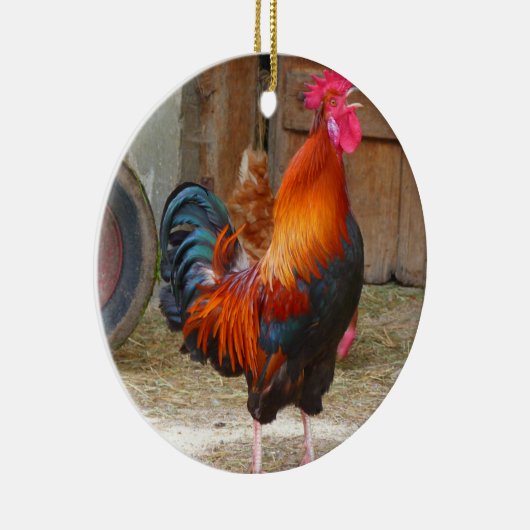 Rhode Island Rooster Crowing in Barnyard Keramikornament (Rechts)