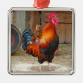 Rhode Island Rooster Crowing in Barnyard Ornament Aus Metall (Vorne)