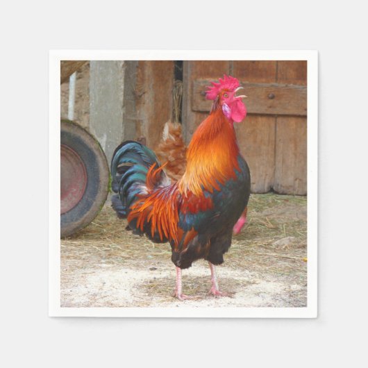 Rhode Island Rooster Crowing in Barnyard Serviette (Vorderseite)
