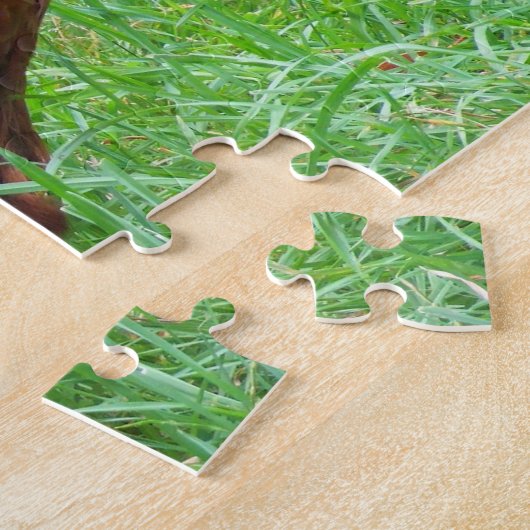 Rhode Island Rooster. Puzzle (Seite)