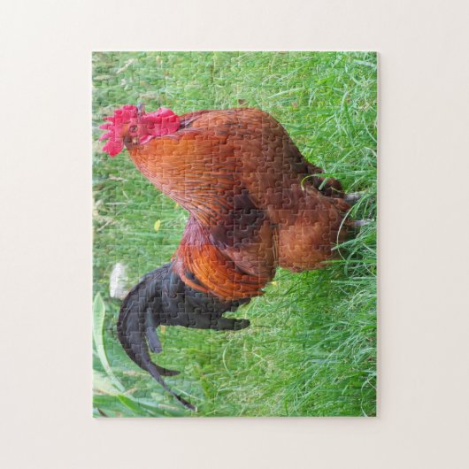 Rhode Island Rooster. Puzzle (Vertikal)