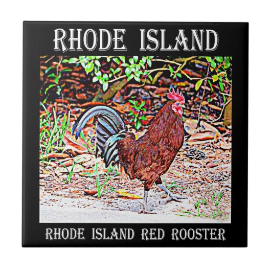 Rhode Island Rot-Hahn Fliese (Vorderseite)