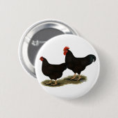 Rhode Island Rot-Zwerghühner Button (Vorne & Hinten)