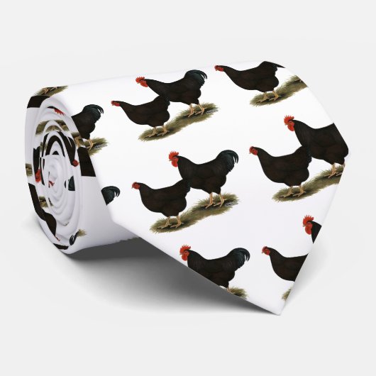 Rhode Island Rot-Zwerghühner Krawatte (Gerollt)