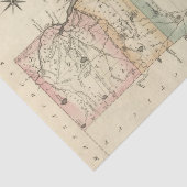 Rhode Island Seidenpapier (Ausschnitt)