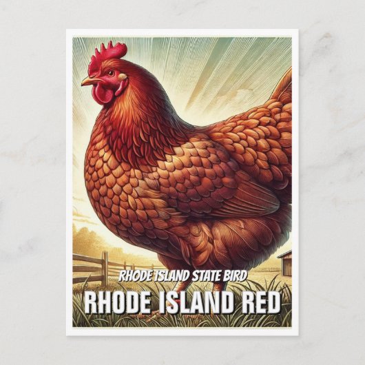 Rhode Island Staat Bird Rhode Island Postkarte (Vorderseite)