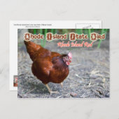 Rhode Island Staat Bird: Rhode Island Red Postkarte (Vorne/Hinten)