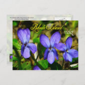 Rhode Island Staat Blume: Violett Postkarte (Vorne/Hinten)