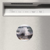 Rhode Island, Weekapaug Magnet (In Situ (Geschirrspüler))