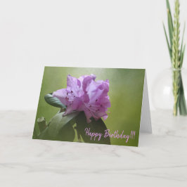 Rhodedendron 1-18 Grußkarte Karte