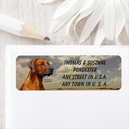 RHODESIAN RIDGBACK (Insitu)