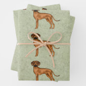 Rhodesian Ridgeback African Lion Dog Pattern Green Geschenkpapier Set (Beispiel)
