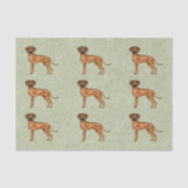 Rhodesian Ridgeback Afrikanischer Löwenhund Muster Seidenpapier (Vorderseite)